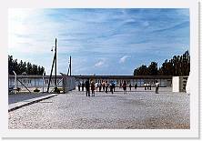 Scansione0017 * 1825 x 1219 * (390KB)