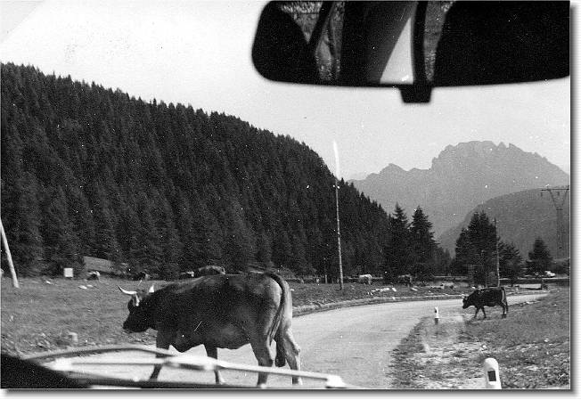 Clicca per scorrere le foto originali ingrandite