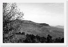 File0002 * 2255 x 1509 * (444KB)