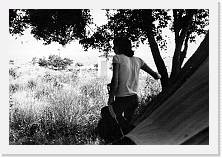 File0011 * 1359 x 932 * (176KB)