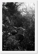 File0017 * 947 x 1411 * (197KB)