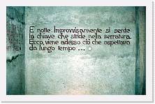 carpi010 * 1678 x 1080 * (354KB)