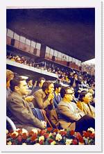 carpi069 * 1080 x 1678 * (198KB)