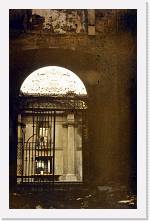 carpi085 * 1080 x 1678 * (196KB)