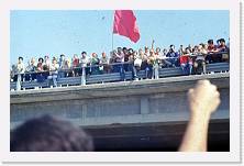 carpi099 * 1678 x 1087 * (222KB)