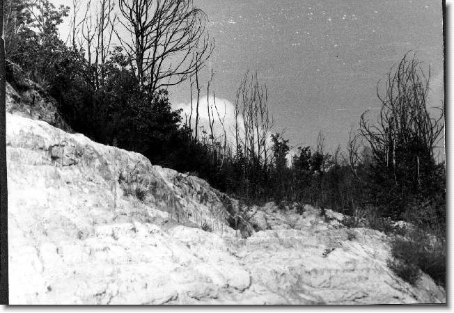 Clicca per scorrere le foto originali ingrandite