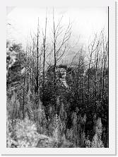 File0017 * 1067 x 1471 * (247KB)