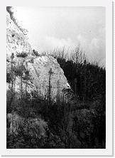 File0021 * 1012 x 1438 * (199KB)