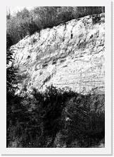 File0022 * 1018 x 1454 * (237KB)