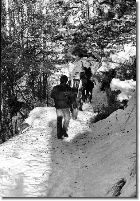Clicca per scorrere le foto originali ingrandite