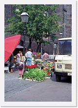 ola-003 * 1084 x 1567 * (323KB)