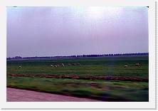 ola-201 * 1584 x 1064 * (217KB)
