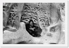 Scansione0097 * 1951 x 1312 * (767KB)