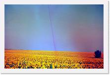 ung_052 * 1862 x 1224 * (309KB)