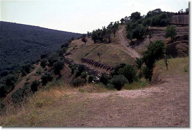 Clicca per scorrere le foto originali ingrandite