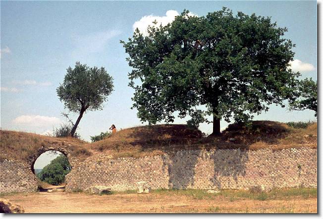 Clicca per scorrere le foto originali ingrandite