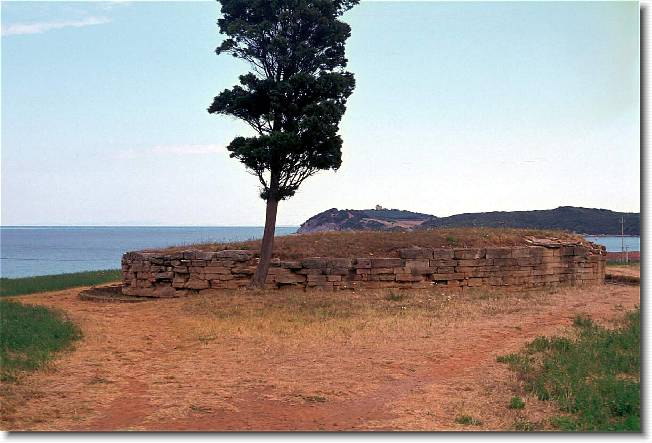 Clicca per scorrere le foto originali ingrandite