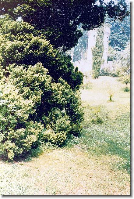 Clicca per scorrere le foto originali ingrandite