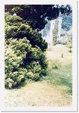 Scansione0065 * 1166 x 1741 * (814KB)