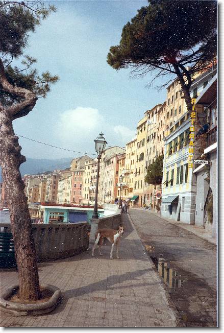 Clicca per scorrere le foto originali ingrandite