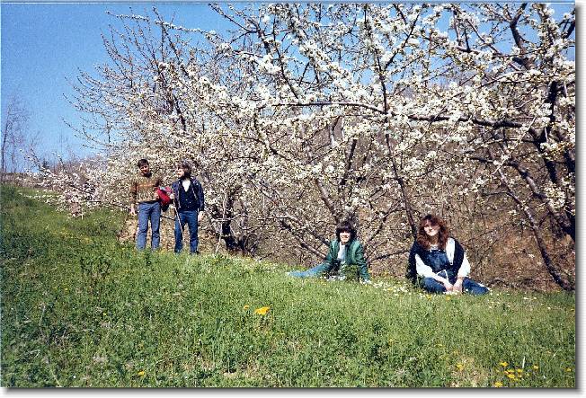 Clicca per scorrere le foto originali ingrandite