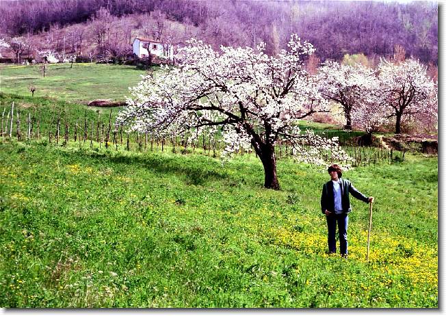 Clicca per scorrere le foto originali ingrandite