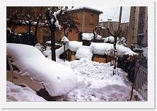 Scansione0004 * 1752 x 1184 * (330KB)