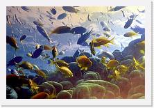 rov_034 * 1857 x 1240 * (301KB)