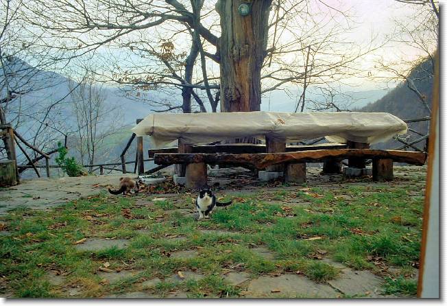 Clicca per scorrere le foto originali ingrandite