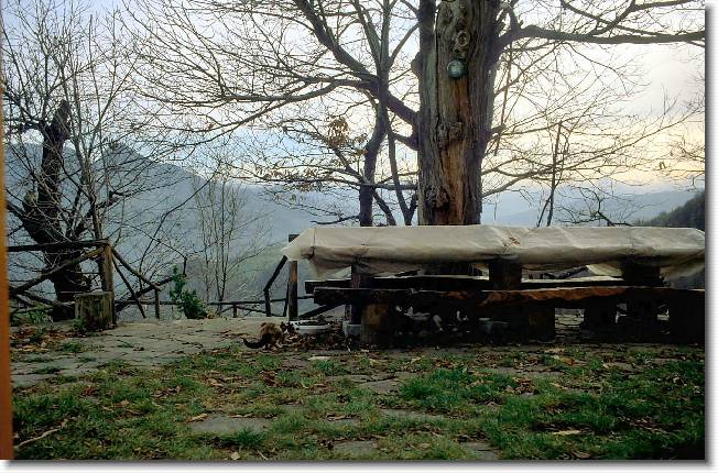 Clicca per scorrere le foto originali ingrandite