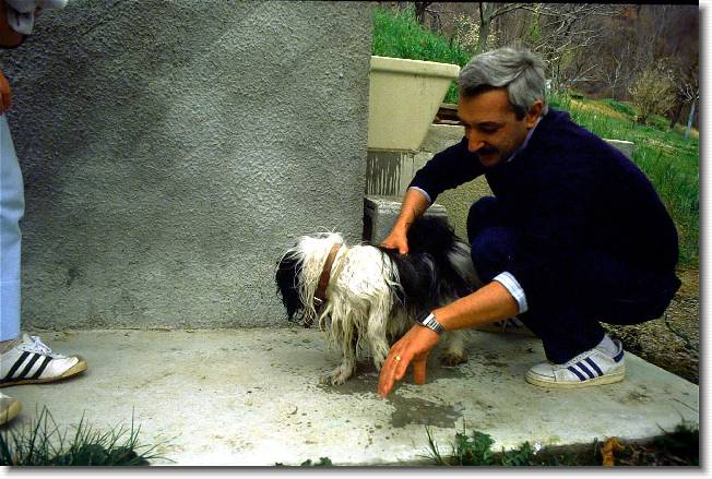 Clicca per scorrere le foto originali ingrandite