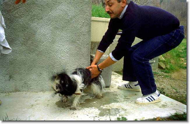 Clicca per scorrere le foto originali ingrandite