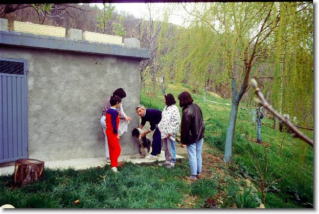 Clicca per scorrere le foto originali ingrandite