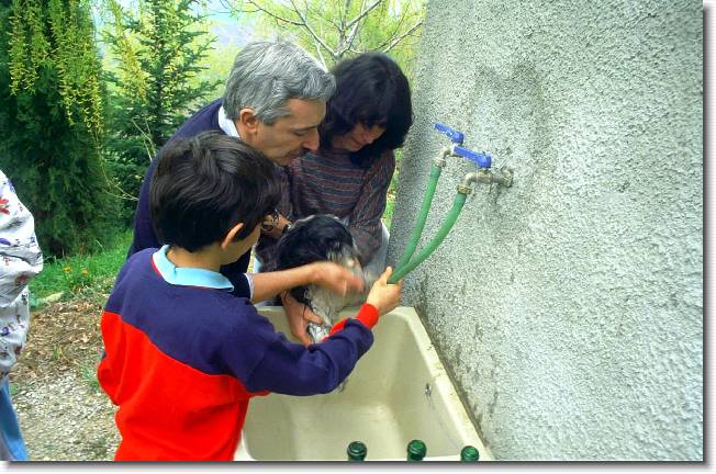Clicca per scorrere le foto originali ingrandite