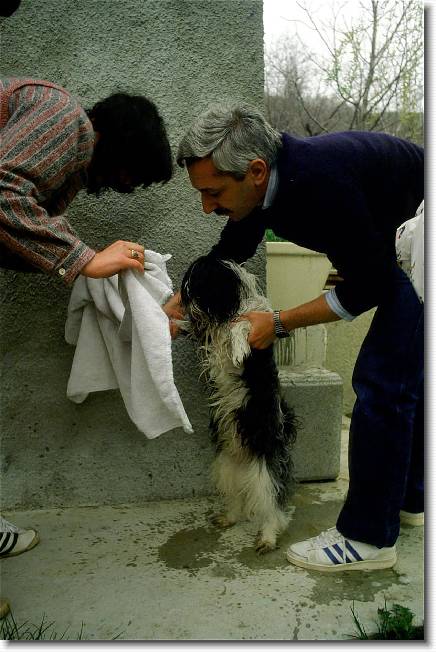 Clicca per scorrere le foto originali ingrandite