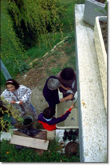 Clicca per scorrere le foto originali ingrandite