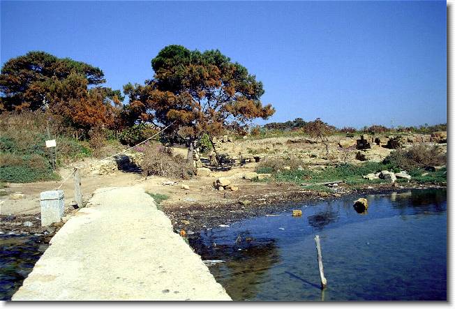 Clicca per scorrere le foto originali ingrandite