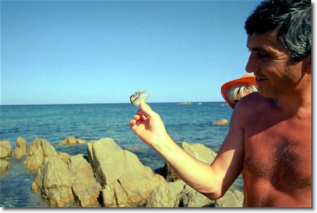 Clicca per scorrere le foto originali ingrandite