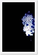 File0061 * 1246 x 1901 * (109KB)