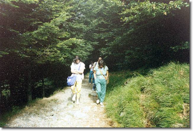 Clicca per scorrere le foto originali ingrandite