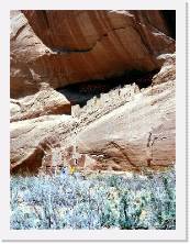 usa098 * 1168 x 1543 * (330KB)