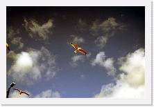 cnord142 * 1857 x 1240 * (176KB)