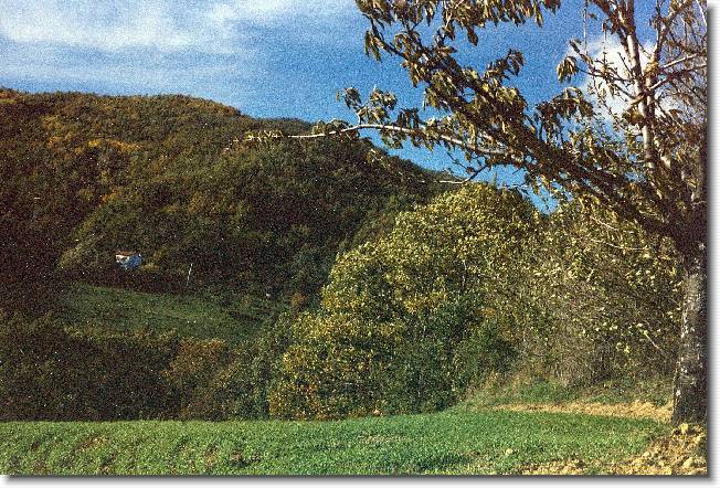 Clicca per scorrere le foto originali ingrandite