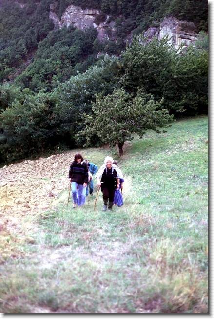 Clicca per scorrere le foto originali ingrandite