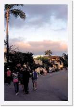 svis059 * 1208 x 1822 * (231KB)