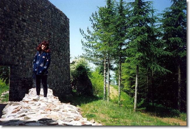 Clicca per scorrere le foto originali ingrandite