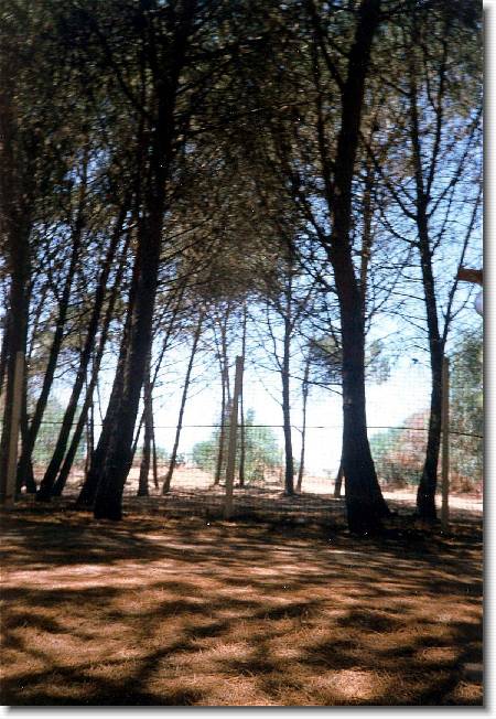 Clicca per scorrere le foto originali ingrandite
