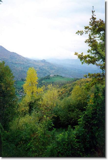 Clicca per scorrere le foto originali ingrandite