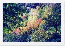 Scansione0025 * 1731 x 1153 * (827KB)