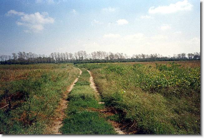 Clicca per scorrere le foto originali ingrandite